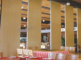 Type 125 operable partitions screen

